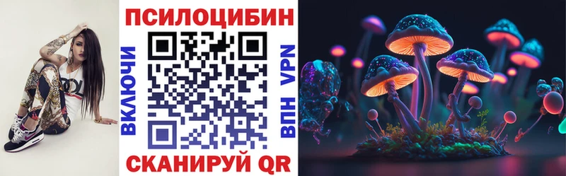 Галлюциногенные грибы Psilocybine cubensis  где продают   Энем 